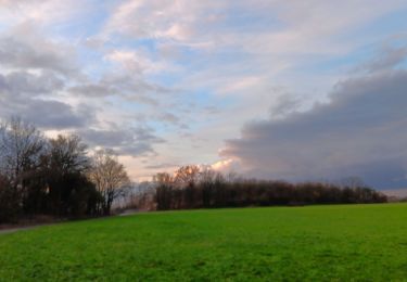 Randonnée Marche Riemst - montagne St-Pierre / St Pietersberg - Photo