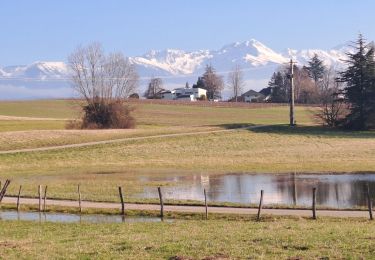 Tocht Stappen Apremont - APREMONT CHACUZAR - Photo