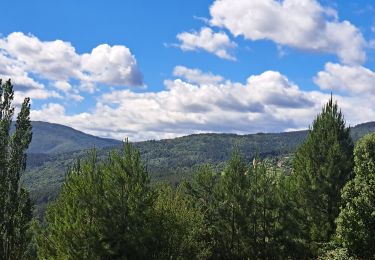 Tocht Stappen Ponteils-et-Brésis - Nord haute Vallee de la Cèze - Photo