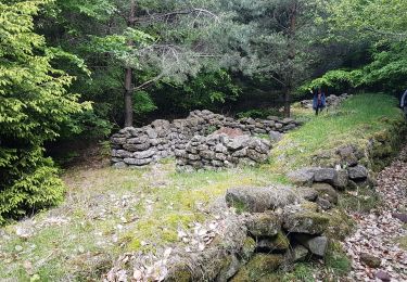 Tour Wandern Hagen - Wasserwald - Photo