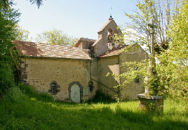 Trail Walking Châteauneuf-les-Bains - Chateauneuf_St_Valentin - Photo