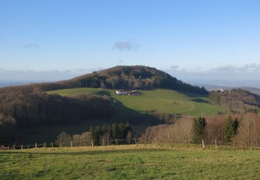 Percorso A piedi Poppenhausen - Maulkuppe - Rhönrundweg 15 - Photo