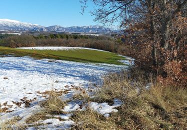 Trail Walking Riez - balade Riez - Photo