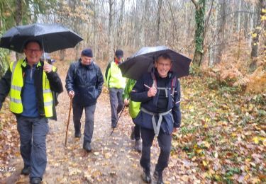 Tour Wandern Châteldon - CLD - GM- le 12-12-2023 - Photo