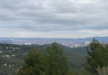 Tocht Stappen Marseille - Calanque sugiton à Marseille  - Photo