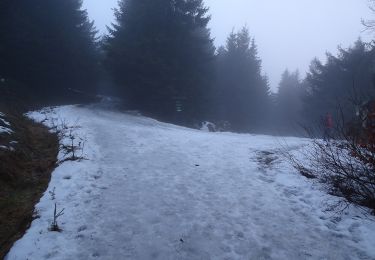 Tour Zu Fuß Rokitnitz - NS Opevnění Rokytnicka - Photo