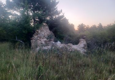 Trail Walking Cruis - CRUIS . L ESPINASSE . DEFEND DES BOEUF . JAS ROCHE . O S L - Photo
