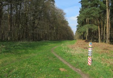 Randonnée A pied West Suffolk - Goshawk Trail - Photo