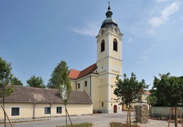 Tour Zu Fuß Gemeinde Biedermannsdorf - Runnersfun Runde - Photo