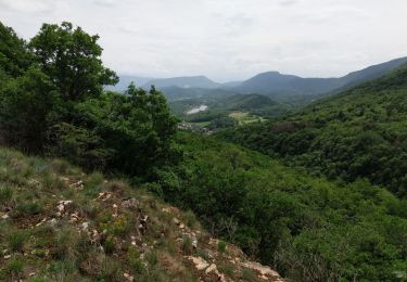 Trail Mountain bike Innimond - Descente sur Saint Germain - Photo