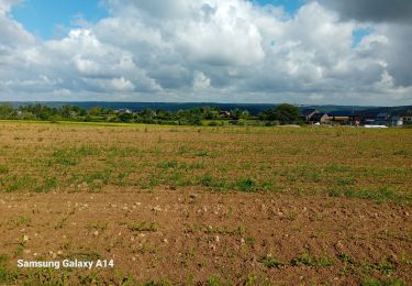 Tour Wandern Esneux - fontin reco - Photo