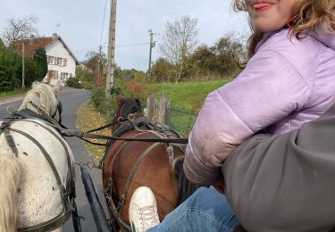 Tour Kutsche fahren Moyenmoutier - Randonnée attelage equiplaine Manu oct 2025 - Photo