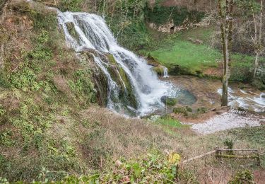 Trail On foot Muret-le-Château - Terra Trail 9 - Photo