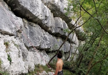 Tocht Te voet Budoia - Itinerario del Torrente Artugna - Photo