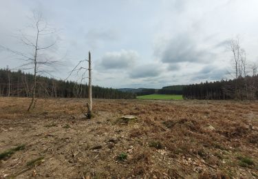 Trail Walking Bouillon - rando rochehaut 10-03-2024 - Photo