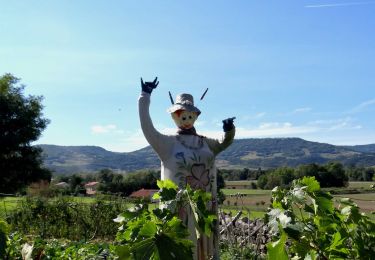 Trail Walking Saint-Germain-Lembron - St_Germain_Beal_Pige - Photo