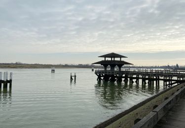 Excursión Senderismo Nieuwpoort - Niewport - Photo