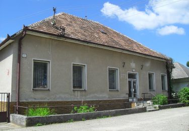 Tour Zu Fuß Bezirk Neuhäusel - Naúčný chodník Strekov - Svodín - Photo