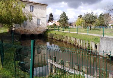 Excursión Senderismo Mérignac - Merignac  - Photo