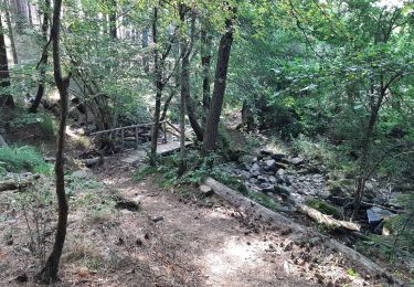 Trail Walking Rocchetta di Vara - Cuccaro - Belvedere - Photo