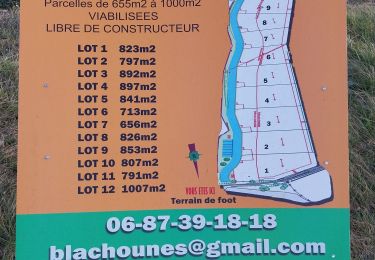 Trail Walking Montjoyer - 12 03 23 - Photo