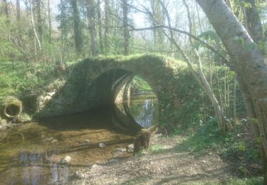 Randonnée Marche Bois-le-Roi - bois le roi -fontaine le port -13 avril 2021 la  - Photo