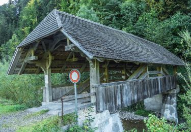 Tour Zu Fuß Trub - Trub - Fankhus - Photo