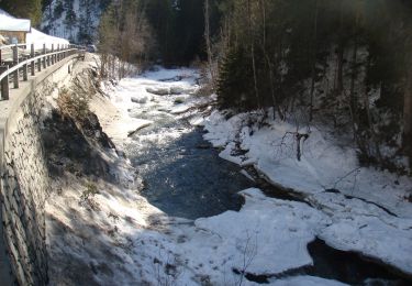 Tour Zu Fuß St. Martin in Thurn - IT-4A - Photo