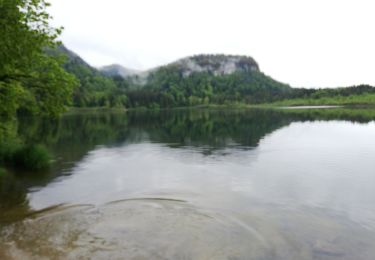 Percorso Marcia Bonlieu - Lac de bonlieu - Photo