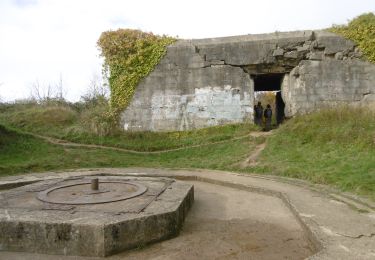 Trail Walking Blonville-sur-Mer - Entre marais et histoire - Photo