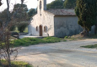 Tocht Stappen Riboux - riboux la ste Baume  - Photo