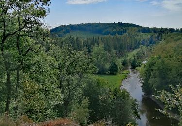 Excursión Senderismo Chiny - Promenade vers le Rocher Du Hat - Photo