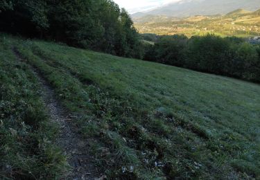 Trail Mountain bike Champagnier - petit tour champagnier  - Photo