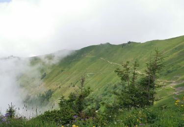 Trail Walking Bex - Tour du miroir d'Argentine - Photo