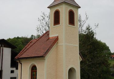 Percorso A piedi Riegersburg - Riegersburgweg - Photo