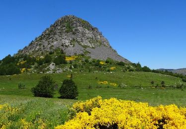 Trail Walking Saint-Martial - Gerbier_de_Jonc - Photo