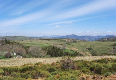 Trail Walking Mayres - Mayres Chaumiène 12km - Photo