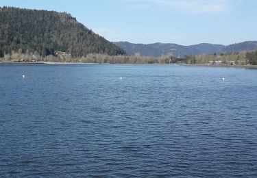 Randonnée Marche Celles-sur-Plaine - circuit roche de l'écureuil, Pierre à bassin Lac de Pierre percée  - Photo