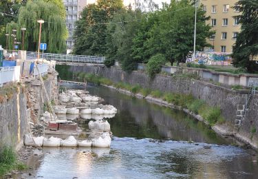 Randonnée A pied Rabštejnská Lhota - [Ž] Chrudim - Podhůra - Rabštejnská Lhota - Photo