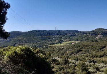 Tocht Mountainbike Velaux - 2e sortie  - Photo