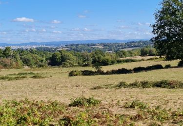 Trail Walking Jourgnac - puy de banneix  - Photo