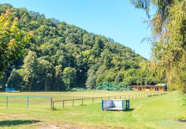 Percorso A piedi Brandýs nad Orlicí - [Ž] Brandýs nad Orlicí - okruh - Photo