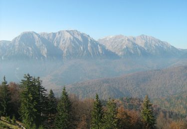 Excursión A pie  - Azuga - Piciorul Sorica - Telegondola Azuga - Photo