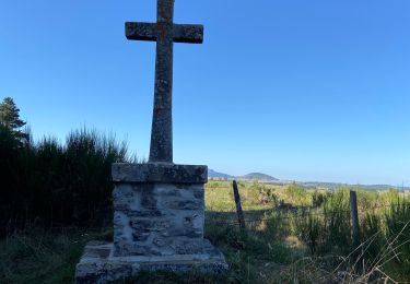 Trail Walking Les Vastres - Les Vastres - Photo