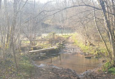 Excursión Senderismo Écromagny - les epoissets - Photo