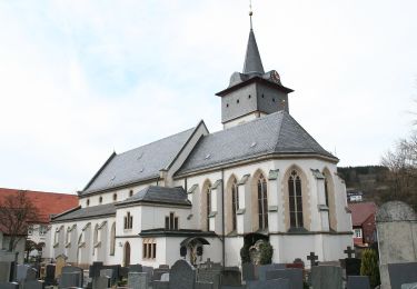 Tour Zu Fuß Steinwiesen - Schlegelshaider Höhenweg RT 23 - Photo