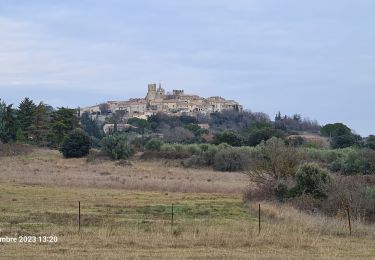 Randonnée Marche Combas - Combats Montpezat - Photo