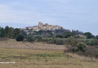 Tour Wandern Combas - Combats Montpezat - Photo