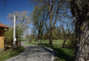 Trail On foot Jistebnice - [Č] Padařov - Brtný - Photo