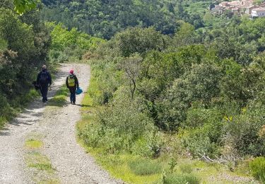Randonnée Marche Maisons - 11-Maisons-Mont Tauch-5-05-2019 - Photo